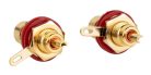 FRCA-10-RD Boston  tulp chassisdeel, female, metal gold lacker, gold contacts, 2 pcs, red ring