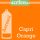 FS5327 dartfords Nitrocellulose Paint Capri Orange - 400ml aerosol