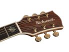 G-70-CEVA Richwood Master Series handmade grand auditorium guitar, solid spruce & rosewood, real abalone, vintage aged, Presys+