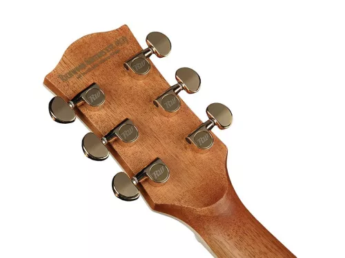 G-70-CEVA Richwood Master Series handmade grand auditorium guitar, solid spruce & rosewood, real abalone, vintage aged, Presys+