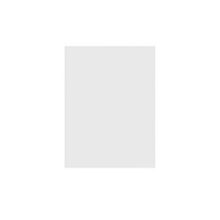   GG-WH-2 Boston  pickguard adhesive material, 25,5x30,5cm, white