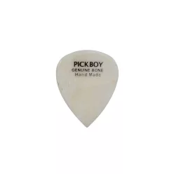 GPBN-1 Pickboy Exotic bone pick