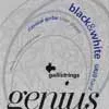 GR-20 Galli Genius string set classic, black trebles and silverplated basses, hard tension, 028-032-040-030-038-045