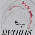 GR-25 Galli Genius string set classic, black trebles and silverplated basses, normal tension, 028-032-040-029-037-044