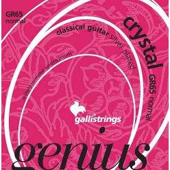   GR-65 Galli Genius string set classic, normal tension, 029-033-041-029-034-044