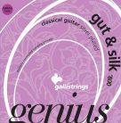 GR840 Galli Genius Gut & Silk string set classic, hard tension, 025-031-037-030-038-046