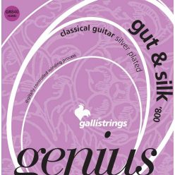   GR840 Galli Genius Gut & Silk string set classic, hard tension, 025-031-037-030-038-046