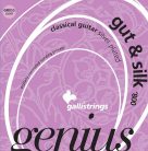 GR855 Galli Genius Gut & Silk string set classic, light tension, 024-031-037-026-033-040