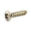 GS0001B01 Allparts  bulk pack of pickguard screws, nickel, 100pcs