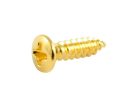 GS0001B02 Allparts  bulk pack of pickguard screws, gold, 100pcs