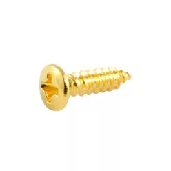   GS0001B02 Allparts  bulk pack of pickguard screws, gold, 100pcs