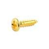 GS0001B02 Allparts  bulk pack of pickguard screws, gold, 100pcs