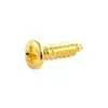 GS0001B02 Allparts  bulk pack of pickguard screws, gold, 100pcs