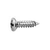 GS0001B10 Allparts  bulk pack of pickguard screws, chrome, 100pcs