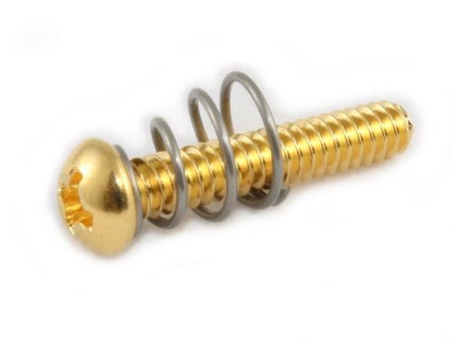 GS0007002ASM Allparts  single coil pickup screw and spring, gold, 8pcs