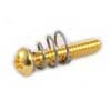 GS0007002ASM Allparts  single coil pickup screw and spring, gold, 8pcs