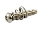 GS0007005ASM Allparts  single-coil pickup screw and spring, steel, 8pcs