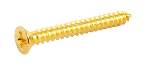 GS0008B02 Allparts  bulk pack of humbucking ring screws, gold, 100pcs