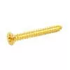 GS0008B02 Allparts  bulk pack of humbucking ring screws, gold, 100pcs