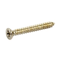   GS0008B05 Allparts  bulk pack of humbucking ring screws, stainless steel, 100pcs