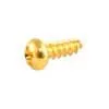GS3206002 Allparts  truss rod cover screws, gold, 8pcs