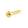 GS3376002 Allparts  small tuner screws, gold, 16pcs