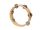 HLW-0806 Hayman  tambourine, no drum head, wood, 8", 6 zils