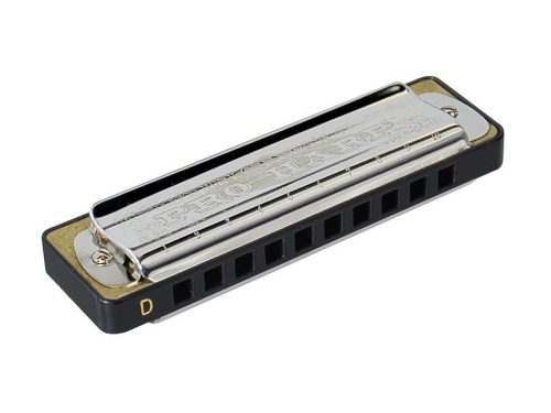 HRM-60-D Belcanto St. Louis Pro Series blues harp, 20 reeds, with case, D