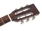 HSP-35-MBK Richwood Heritage Series parlor guitar with solid cedar top, matt trans black