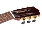 Ilsa CCE Salvador Cortez Iberia Series classic guitar, solid cedar top,rosewood b&s, glossy finish - cutaway and Fishman Clásica II