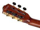 Ilsa CCE Salvador Cortez Iberia Series classic guitar, solid cedar top,rosewood b&s, glossy finish - cutaway and Fishman Clásica II