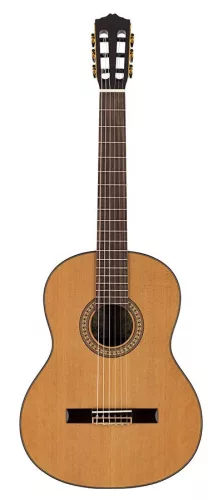 Ilsa C Salvador Cortez Iberia Series classic guitar, solid Canadian cedar top, rosewood b&s, glossy finish