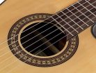 Ilsa SCE Salvador Cortez Iberia Series classic guitar, solid spruce top, rosewood b&s, glossy finish - cutaway and Fishman Clásica II