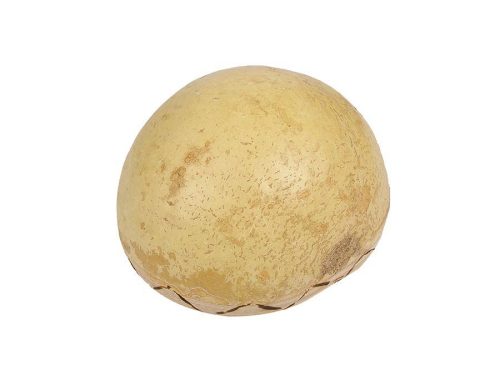 K-KAL Kangaba  kalimba