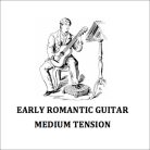 L-ERG1 La Bella  early romantic guitar, medium tension, 025-032-0365-029w-032w-040w