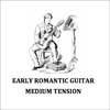 L-ERG1 La Bella  early romantic guitar, medium tension, 025-032-0365-029w-032w-040w