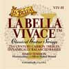 L-VIV-H La Bella Vivace string set classic, fluorcarbon trebles & silverplated basses, hard tension