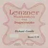 LDG-D6 Lenzner  D-6 string for treble viola da gamba, gut-silver, scale: 38 cm.