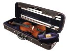 LV-5012 Leonardo Maestro series violin outfit 1/2, antique varnish, well flamed, ebony fittings, bow, luxe oblong case