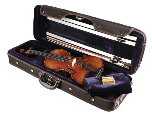 LV-5012 Leonardo Maestro series violin outfit 1/2, antique varnish, well flamed, ebony fittings, bow, luxe oblong case