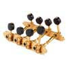 MF-40-MB-GG Gotoh  machine heads for F-style mandolin, metal shaft, 69 mm, black button, gold