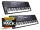 MK401/2 Medeli Millenium Series dual pack - keyboard, 61 touch sensitive keys, 2 x 15 watt, with XY-pad