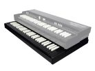 MOJO61B-LTD Crumar  lower manual for MOJO61, 61 keys, LIMITED black edition