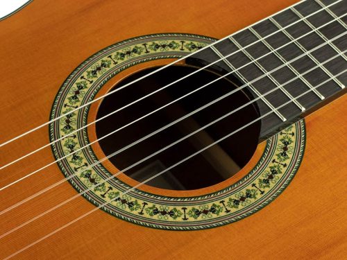 Nova CCE Salvador Student Series classic guitar cedar + sapele, glossy finish - with cutaway and Fishman Clasica II