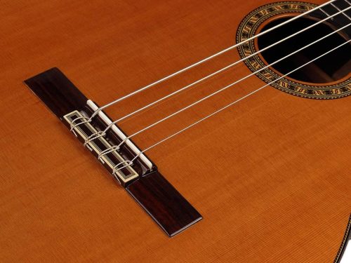 OCT-BASS/4 Esteve Special Model contrabass guitar, solid cedar top, Indian rosewood b&s, ebony fb, 4 strings, 775mm scale