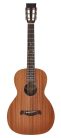 P-50 Richwood Master Series handmade parlor guitar, solid mahogany & mahogany, satin finish