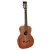 P-50 Richwood Master Series handmade parlor guitar, solid mahogany & mahogany, satin finish