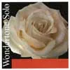 P315231 Pirastro Wondertone Solo violin string E-1 thick (26.7), ball end, advanced steel