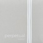 P333080 Pirastro Perpetual Soloist cello string set