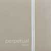 P333280 Pirastro Perpetual Soloist cello string D-2, steel core, chrome steel